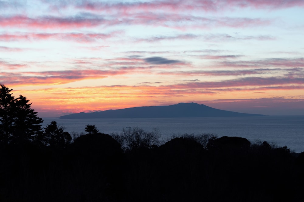 [源泉掛流し露天風呂] オーシャンビュー 2階ツイン バルコニーからの眺望1 | 大室の杜 玉翠 (13 歳以上)