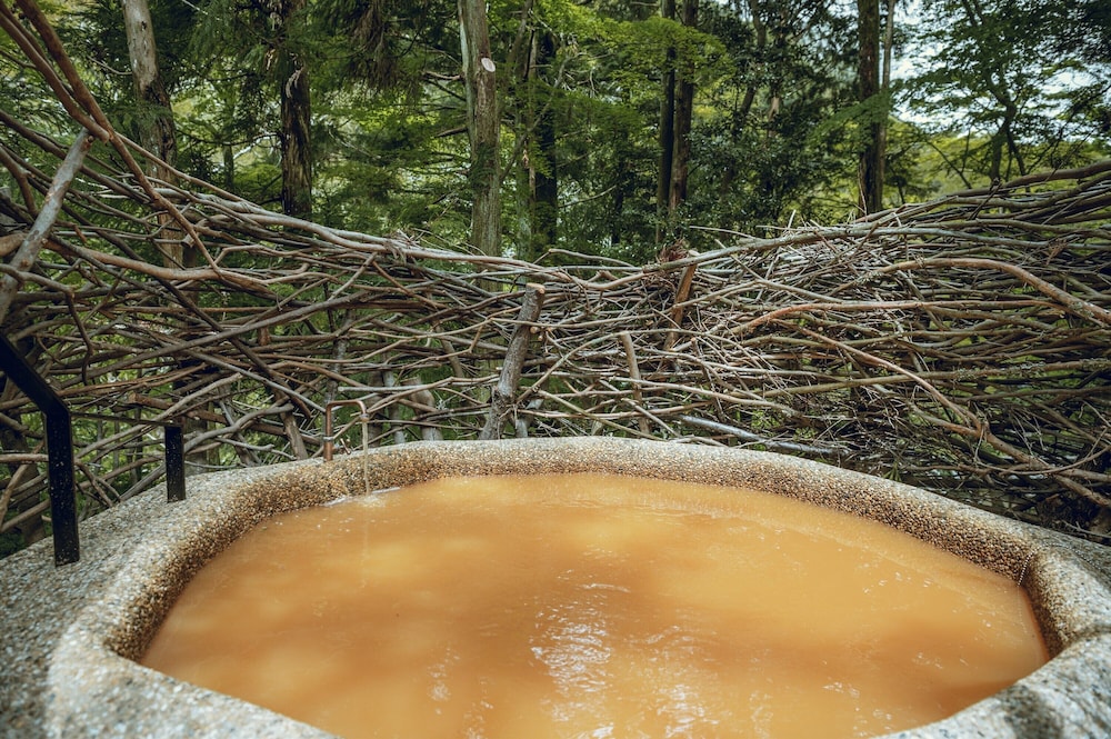 プレミアム ルーム バスルーム0 | 有馬山叢 御所別墅