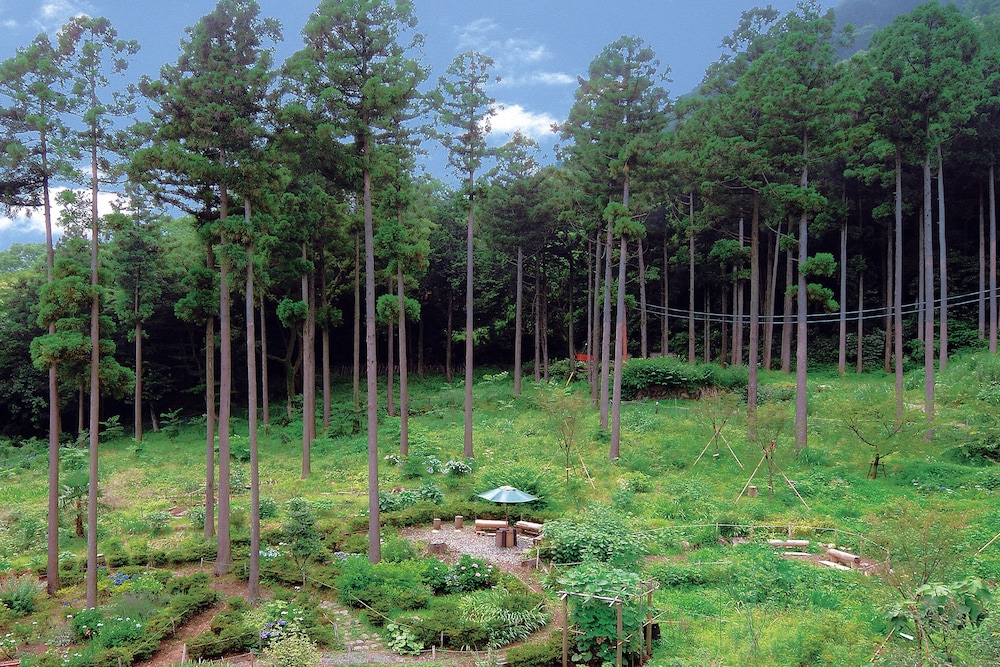 和洋室(2~6名) バルコニーからの眺望0 | 箱根の森おかだ