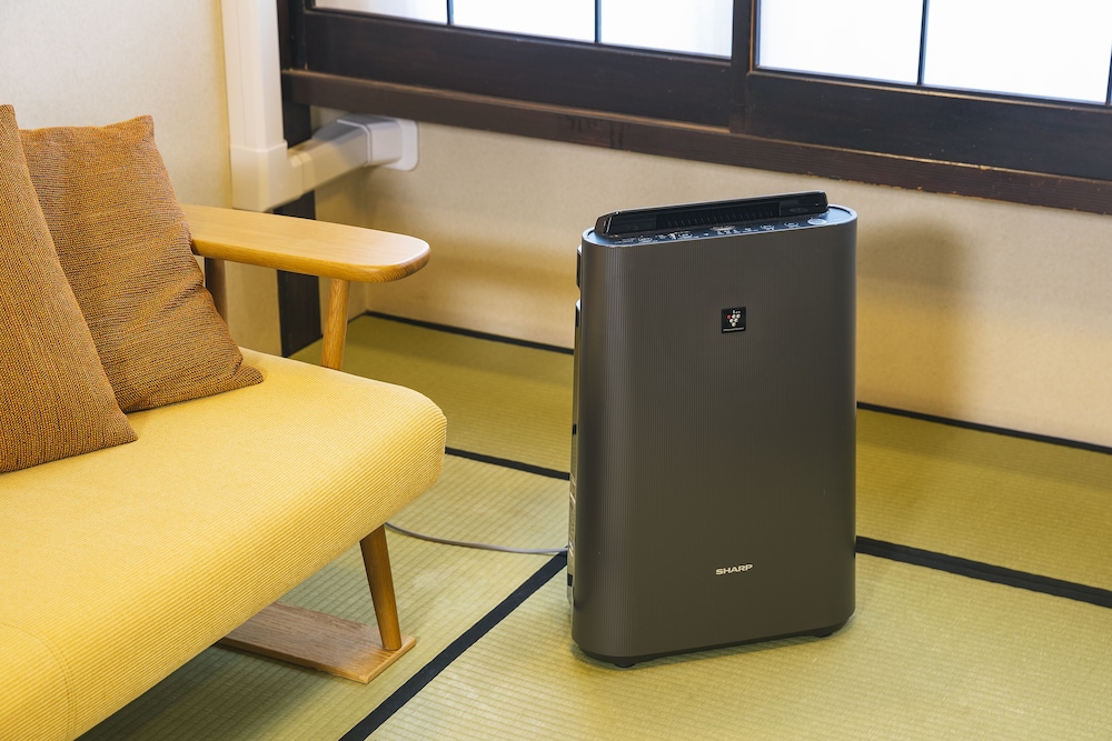 和室 30㎡ (バスルーム付き, 禁煙) (素泊まり) 客室6 | 旅館あすなろ