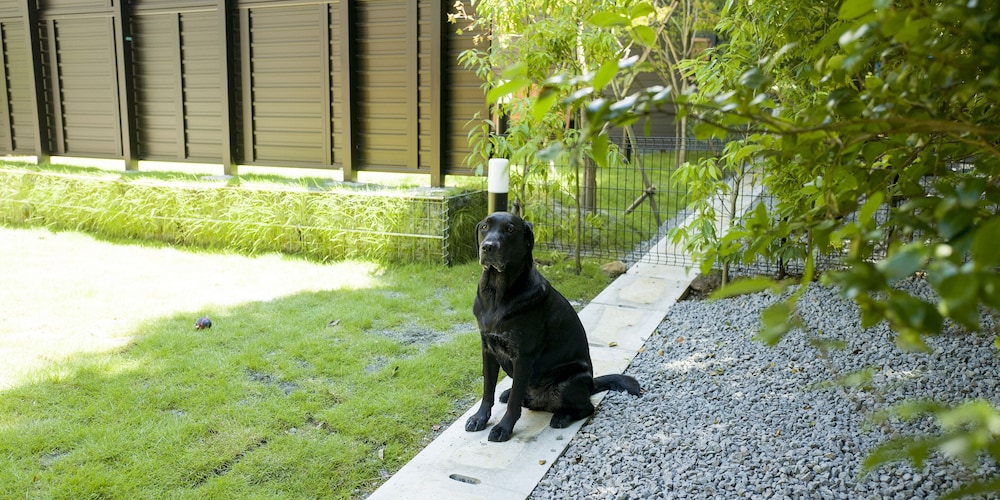 [北館] ペット可 バーベキューテラス付き ベーシック ヴィラ 禁煙 テラス / パティオ15 | Rakuten STAY VILLA 箱根仙石原