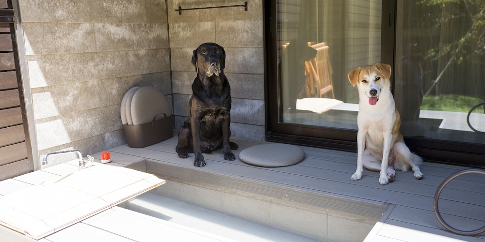 [北館] ペット可 バーベキューテラス付き ベーシック ヴィラ 禁煙 テラス / パティオ13 | Rakuten STAY VILLA 箱根仙石原