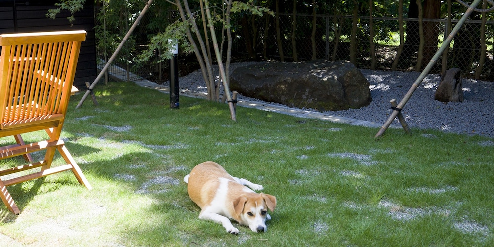 [北館] ペット可 バーベキューテラス付き ベーシック ヴィラ 禁煙 テラス / パティオ1 | Rakuten STAY VILLA 箱根仙石原