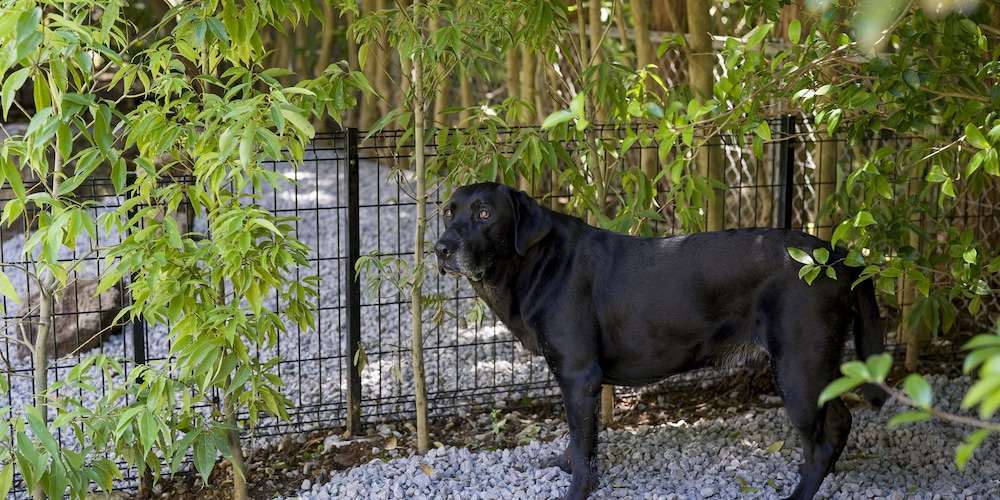 [北館] ペット可 バーベキューテラス付き ベーシック ヴィラ 禁煙 テラス / パティオ0 | Rakuten STAY VILLA 箱根仙石原