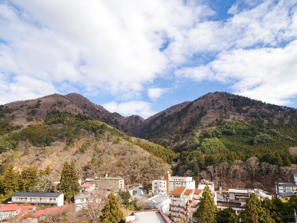 [禁煙]和室8畳 部屋からの景観0 | ほったらかしの宿 ゆうふり那須塩原