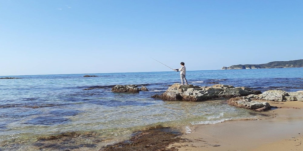 釣り1 | 海のまんまえ荘