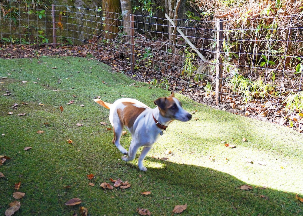 ベーシック ハウス 禁煙 テラス / パティオ6 | ヴィラ リベルテ箱根強羅