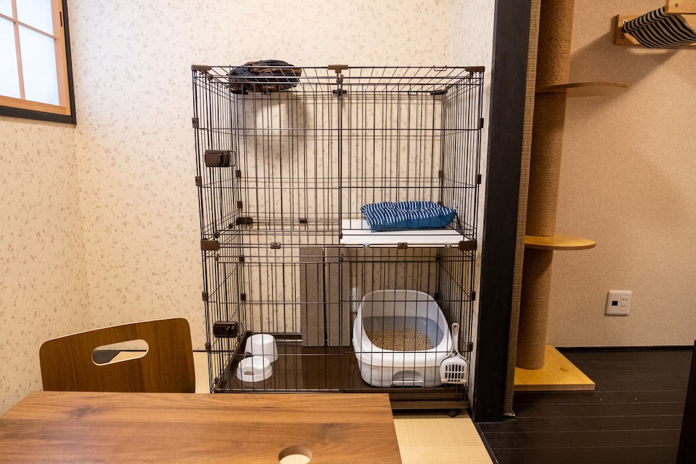 2-A 愛猫愛犬とお泊りできるお部屋 禁煙 客室11 | リトルホテル京都 烏丸高辻