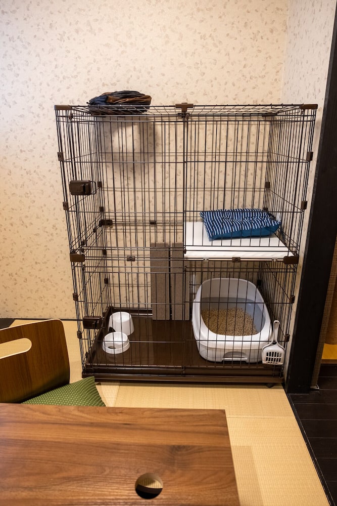 2-A 愛猫愛犬とお泊りできるお部屋 禁煙 客室9 | リトルホテル京都 烏丸高辻