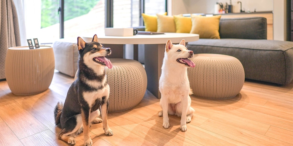Rakuten STAY VILLA 富士河口湖の森/2LDKメゾネット [サウナ・テラス有] 禁煙【ペット可】 客室6 | Rakuten STAY VILLA 富士河口湖の森