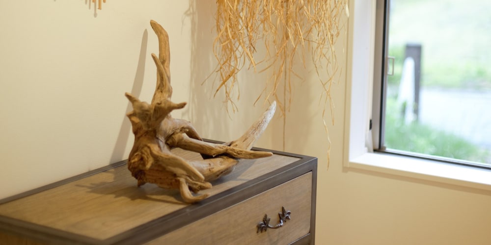 ヴィラ リビング エリア9 | 軽井沢ファニーアワーズ