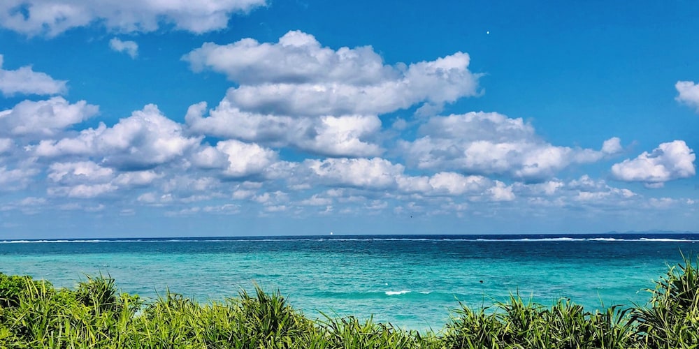 201 Anthurium 客室6 | カーサドゥマイオーシャンヴィラ今帰仁