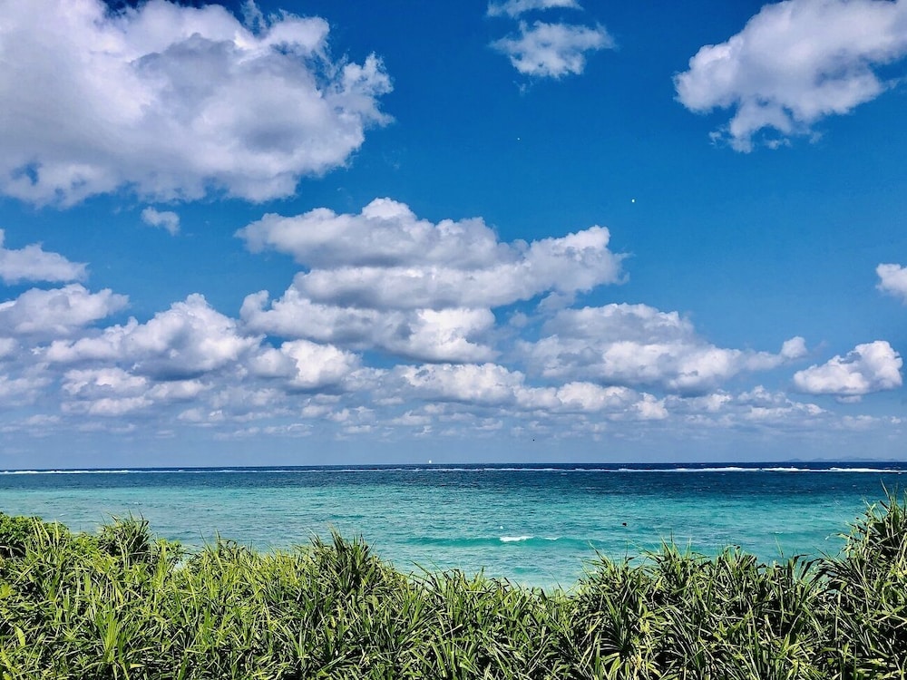 201 Anthurium | カーサドゥマイオーシャンヴィラ今帰仁