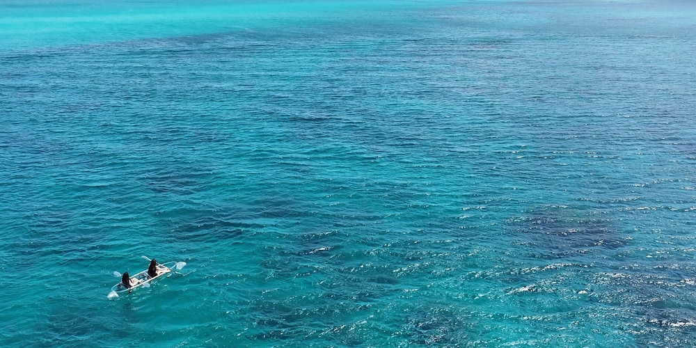 トリプルルーム 禁煙 シャワー・トイレ共同 (Tatazumi) 客室2 | シー フレンド