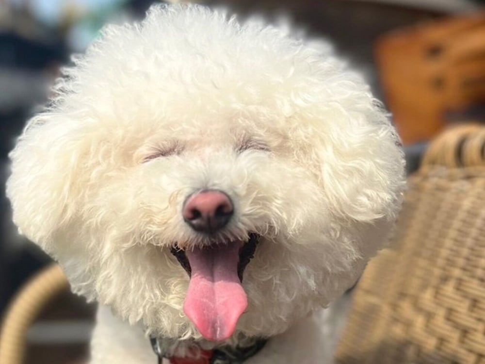 メインイメージ | BAN HOTEL 築地銀座 メインイメージ | BAN HOTEL 築地銀座