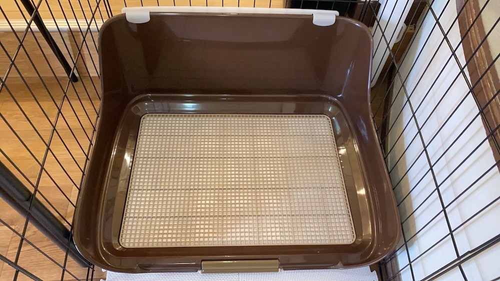 Dog Room 8 客室2 | ホテル ルシア at まえばし赤城