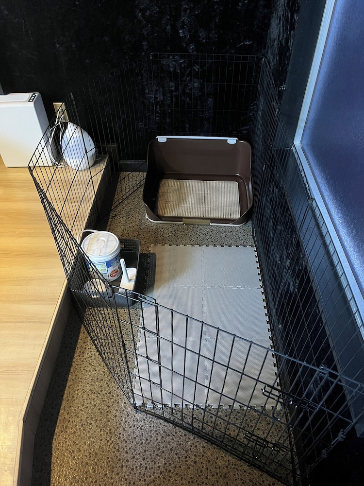 Dog Room 8 リビング エリア1 | ホテル ルシア at まえばし赤城