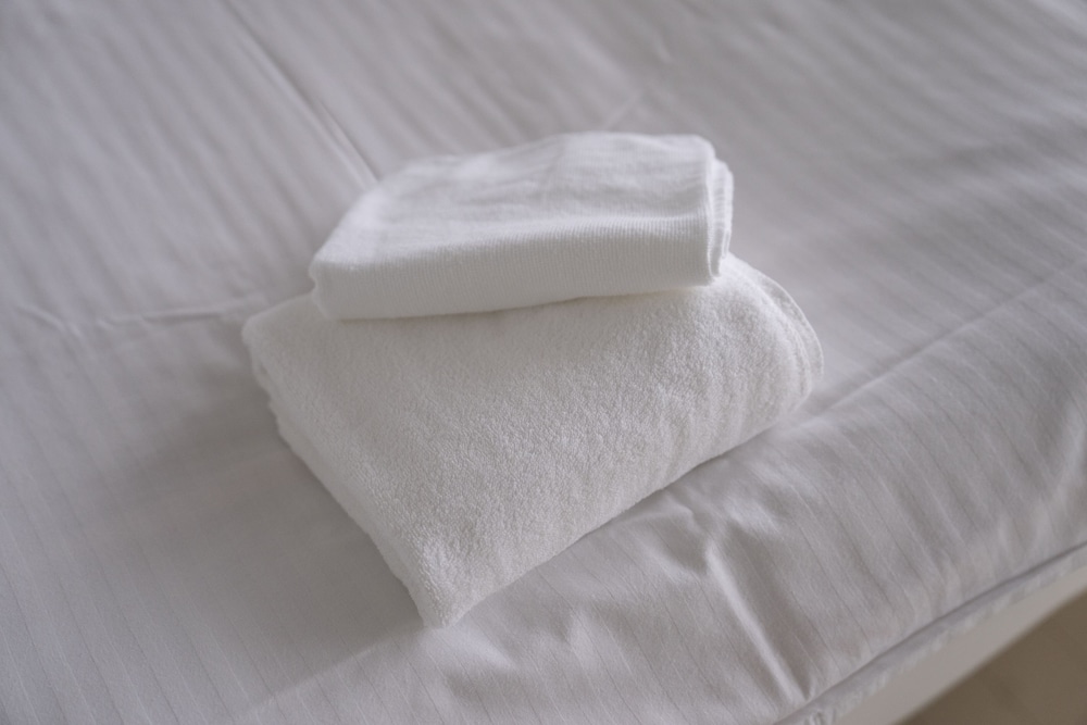 ビジネス ツインルーム 客室4 | 岩戸山ホステル