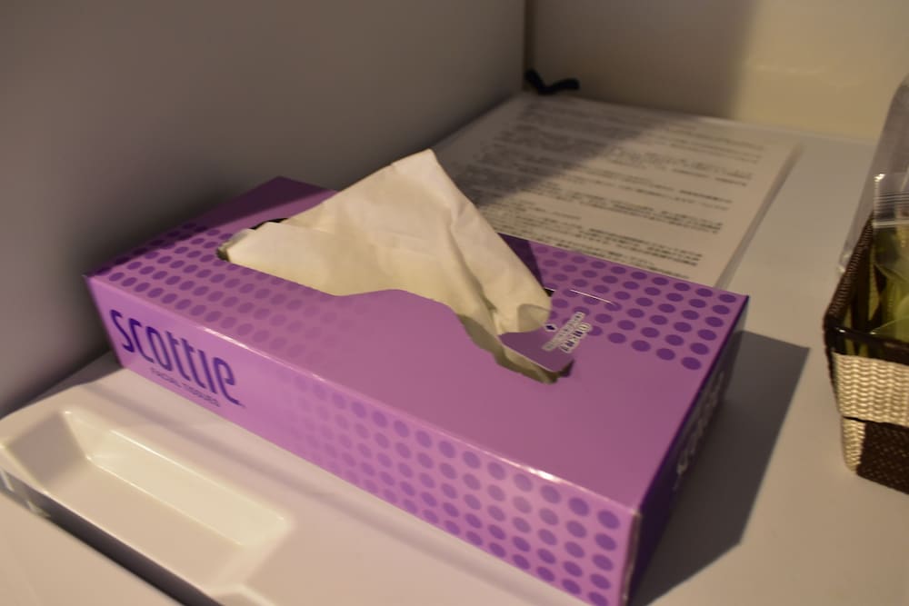 客室1 | 岩戸山ホステル