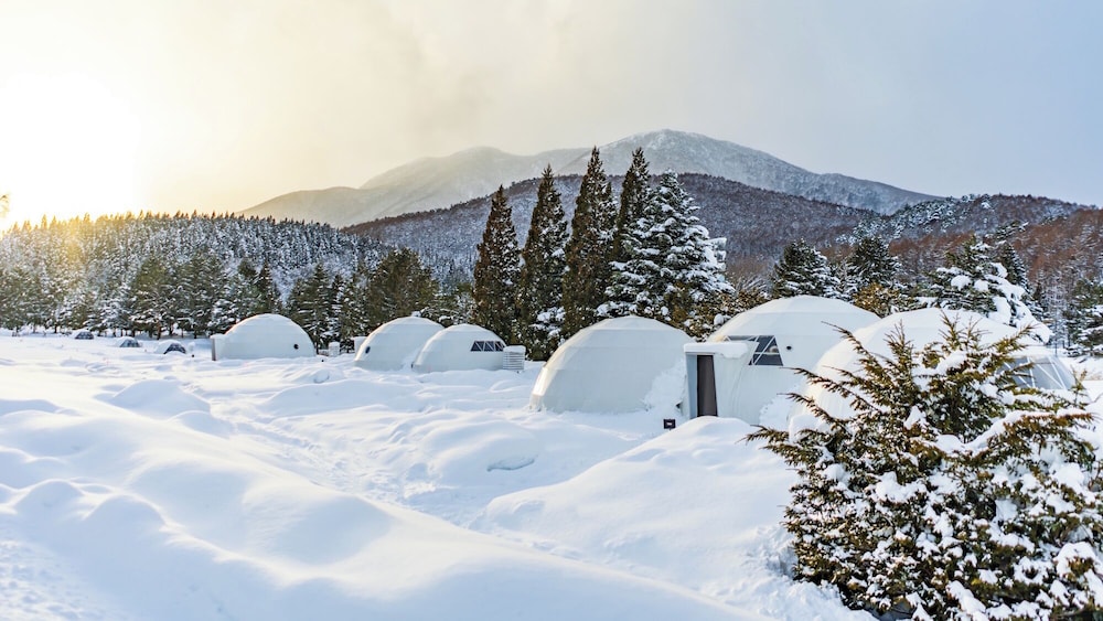 シングルドーム　4ベッド【チェックイン14:00 /チェックアウト10:00】 客室21 | GLAMPROOK 飯綱高原