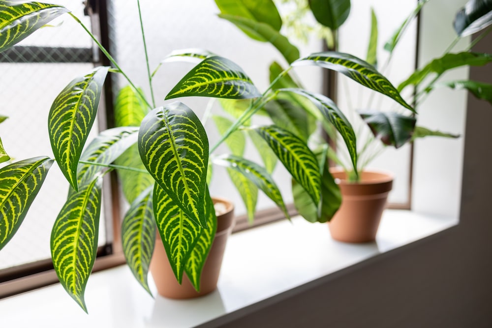 ベーシック アパートメント ダブルベッド 1 台 禁煙 中 2 階 客室9 | コンフィーステイ桜町