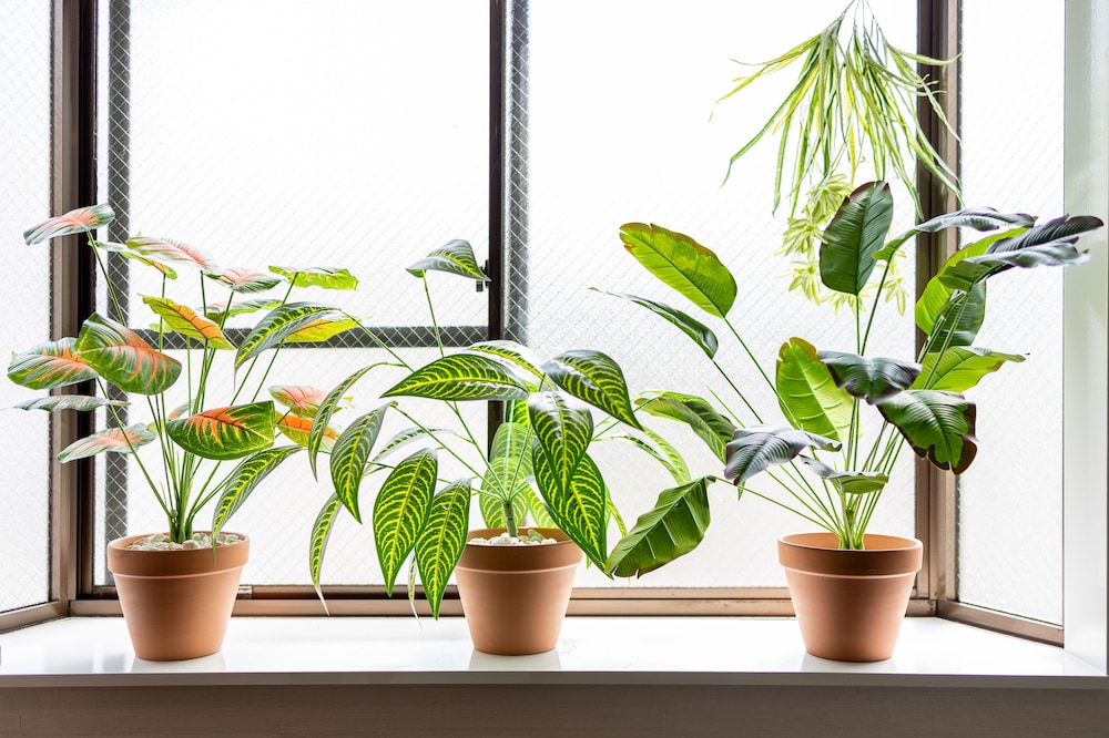 ベーシック アパートメント ダブルベッド 1 台 禁煙 中 2 階 客室7 | コンフィーステイ桜町