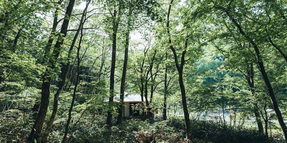 グランピング ローズビュー 禁煙 客室4 | LA TERRA NAGANO