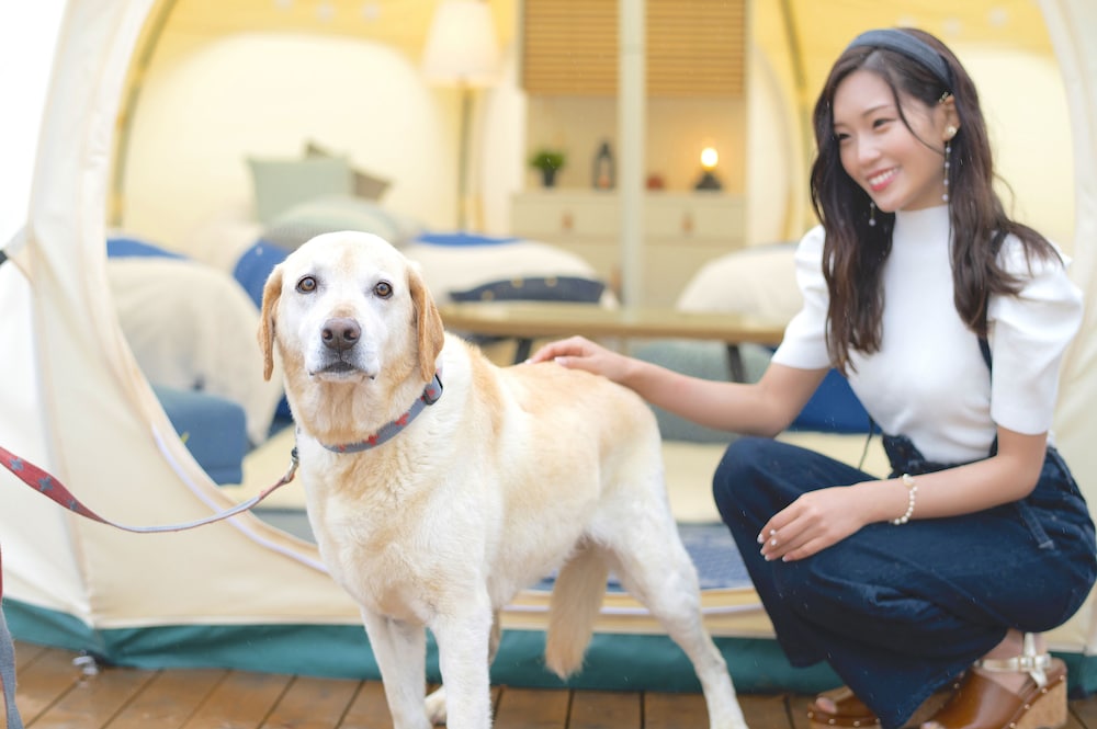 Setouchi (Dog Suite Tent・ペット可・4ベッド) 禁煙 | グランプレミア瀬戸内