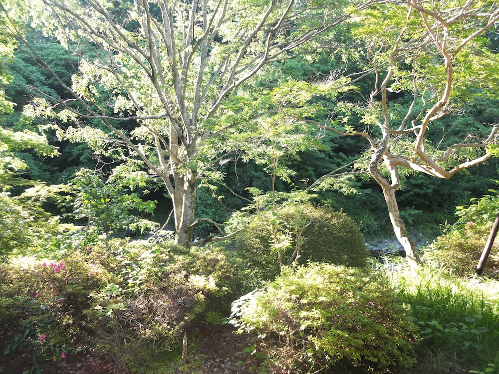 トラディショナル ツインルーム 部屋からの景観0 | アネックス タートル ほとり庵