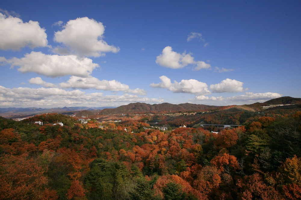 和室 布団 禁煙 マウンテンビュー マウンテン ビュー1 | 神戸有馬温泉 元湯 龍泉閣