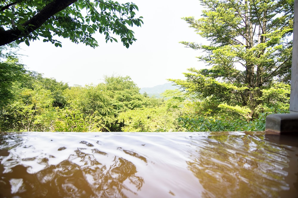 金泉露天風呂付ファミリースイートルーム　そら マウンテン ビュー0 | 神戸有馬温泉 元湯 龍泉閣