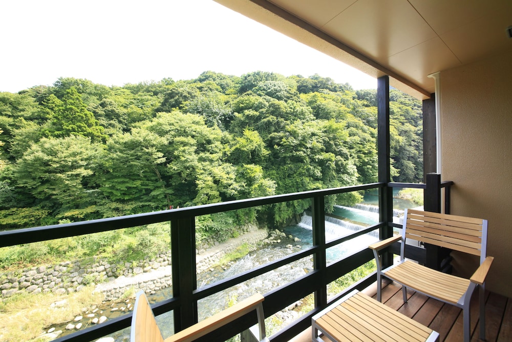 露天風呂付き新客室_渓流側和洋室(禁煙) バルコニーからの眺望0 | 箱根水明荘