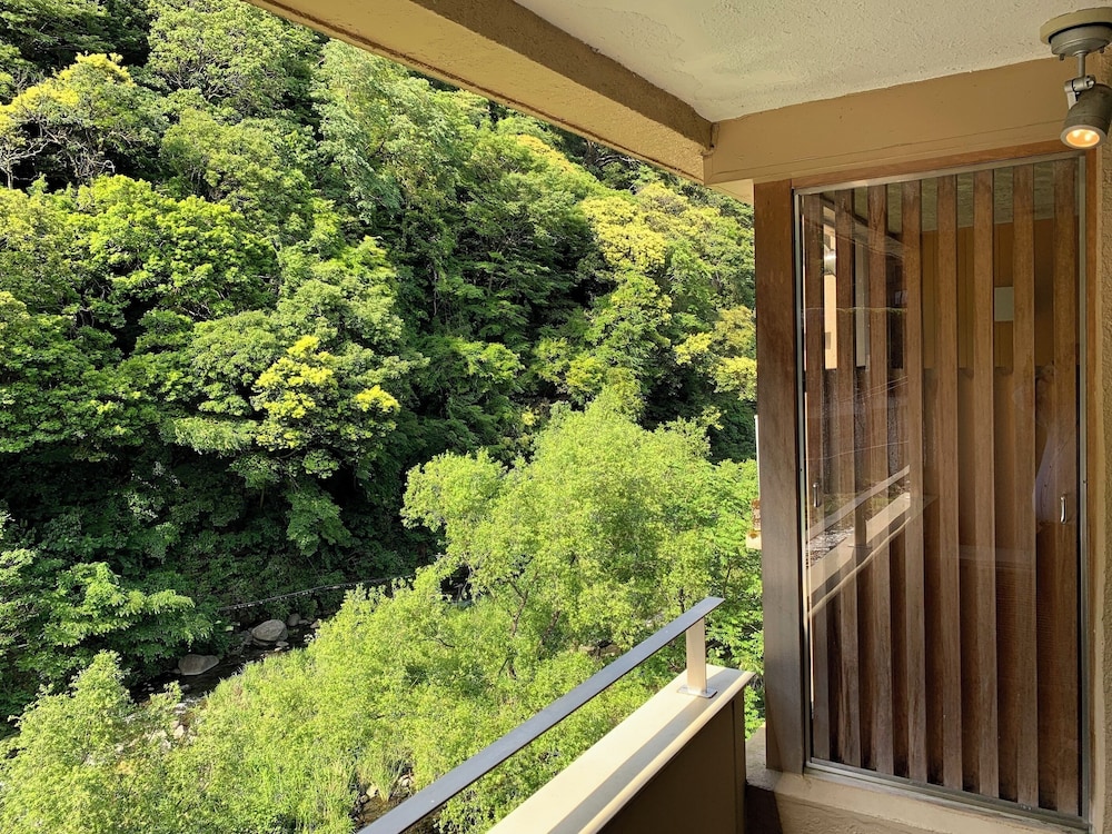 半露天風呂付　和洋室 バルコニーからの眺望0 | 箱根 パークス吉野