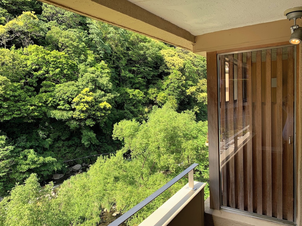 半露天風呂付 和洋室 バルコニーからの眺望0 | 箱根 パークス吉野
