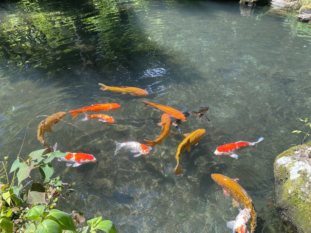 箱根ホテル小涌園 カジュアルツイン 禁煙 朝食付きプランユネッサンフリーパス付 エキストラベッド不可 客室2 | 箱根ホテル小涌園