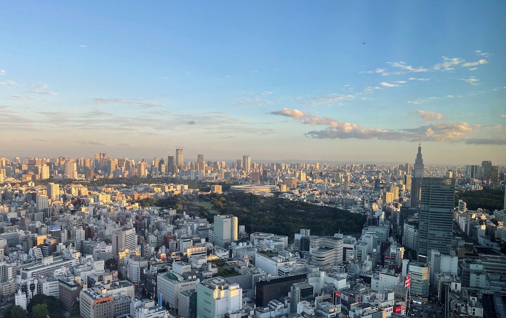デラックス スイート 2 ベッドルーム パーク ビュー0 | BELLUSTAR TOKYO、A Pan Pacific Hotel