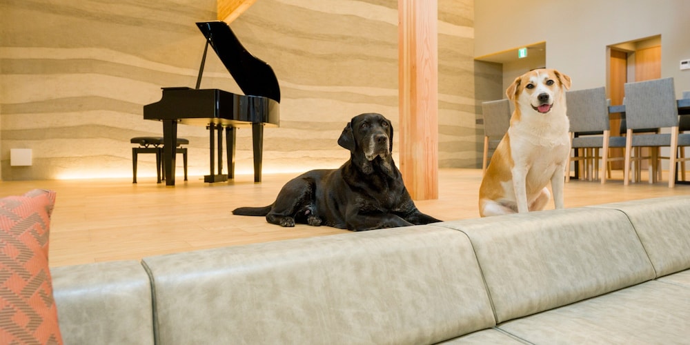 [ペット不可] A棟 スイートルーム(A102) 12名定員 禁煙 | Rakuten STAY VILLA 鴨川