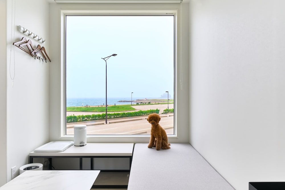 スタンダード ルーム オーシャンビュー | WHARF&CO.