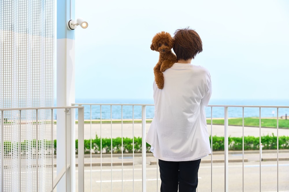 スタンダード ルーム オーシャンビュー 客室1 | WHARF&CO.