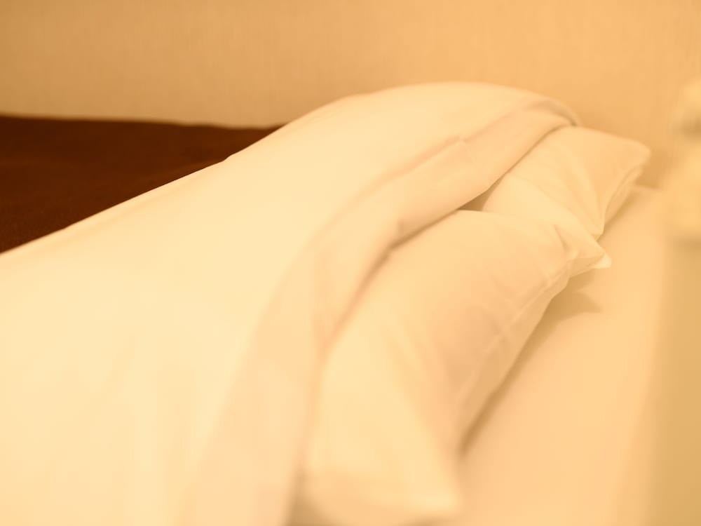 スタンダード ダブルルーム 喫煙可 客室1 | サバエ シティーホテル