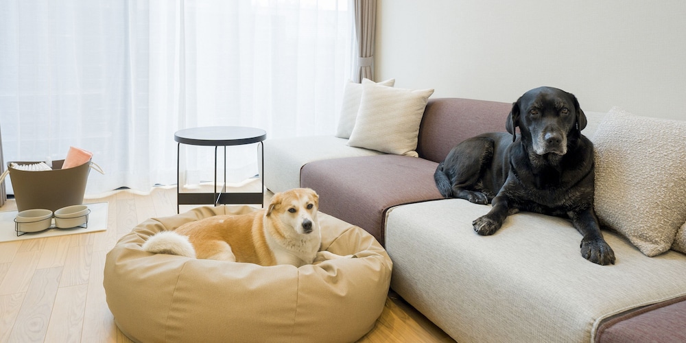 Rakuten STAY VILLA 八ヶ岳 [109_ペット同室可]シンプルモダン / 8名定員 禁煙 客室8 | Rakuten STAY VILLA 八ヶ岳