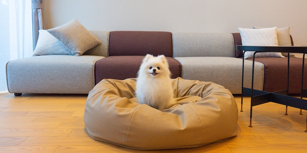 Rakuten STAY VILLA 八ヶ岳 [109_ペット同室可]シンプルモダン / 8名定員 禁煙 客室24 | Rakuten STAY VILLA 八ヶ岳