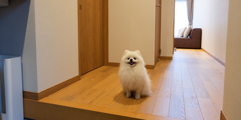 Rakuten STAY VILLA 八ヶ岳 [109_ペット同室可]シンプルモダン / 8名定員 禁煙 客室23 | Rakuten STAY VILLA 八ヶ岳