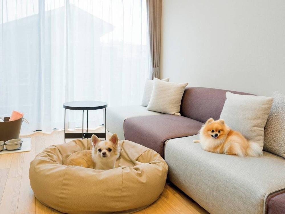 Rakuten STAY VILLA 八ヶ岳 [109_ペット同室可]シンプルモダン / 8名定員 禁煙 客室26 | Rakuten STAY VILLA 八ヶ岳