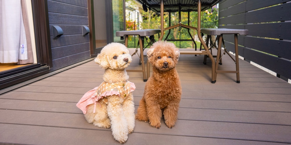 Rakuten STAY VILLA 八ヶ岳 [109_ペット同室可]シンプルモダン / 8名定員 禁煙 客室22 | Rakuten STAY VILLA 八ヶ岳