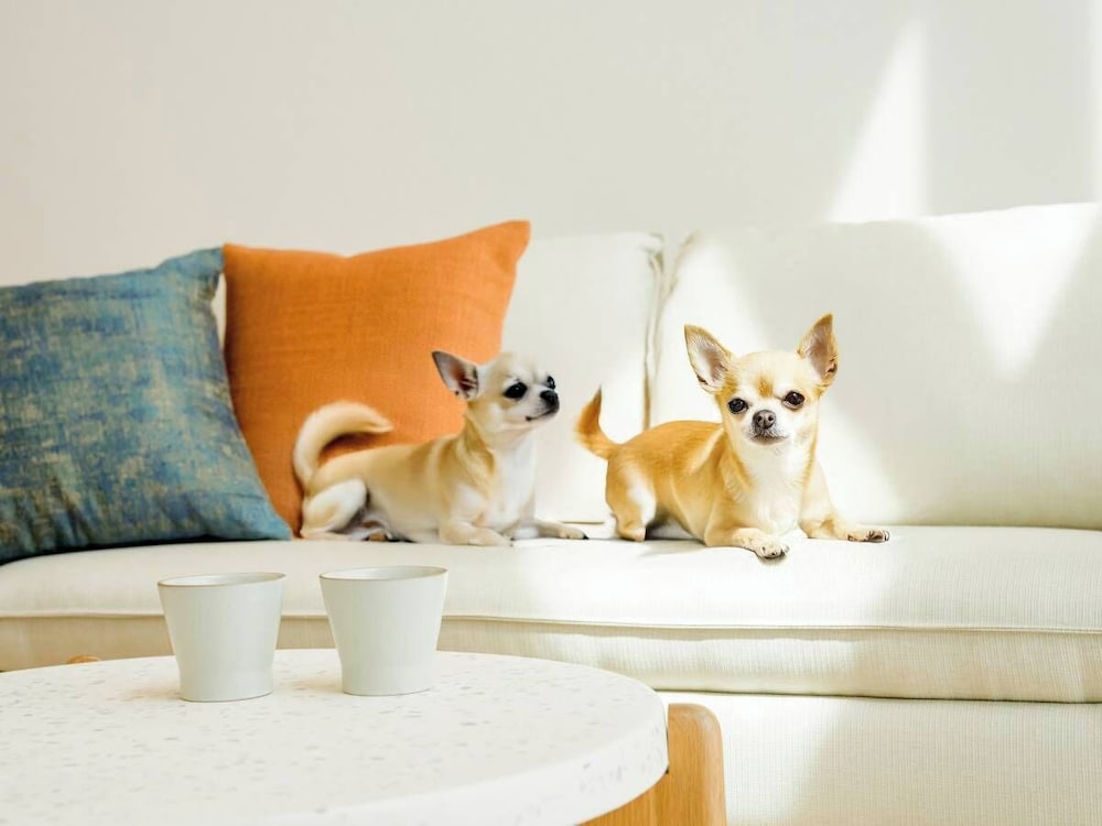 Rakuten STAY VILLA 八ヶ岳 [104_ペット同室可]ファミリールーム / 8名定員 禁煙 客室18 | Rakuten STAY VILLA 八ヶ岳