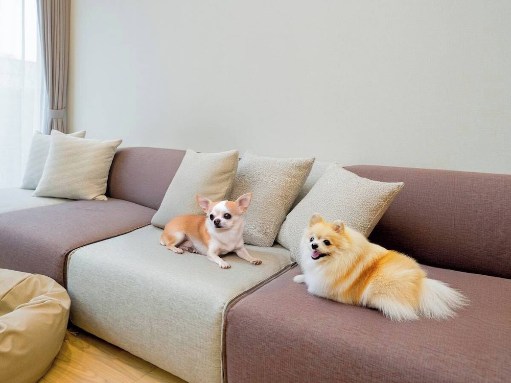 Rakuten STAY VILLA 八ヶ岳 [109_ペット同室可]シンプルモダン / 8名定員 禁煙 客室27 | Rakuten STAY VILLA 八ヶ岳