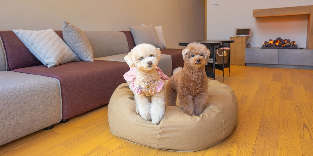 Rakuten STAY VILLA 八ヶ岳 [109_ペット同室可]シンプルモダン / 8名定員 禁煙 客室19 | Rakuten STAY VILLA 八ヶ岳