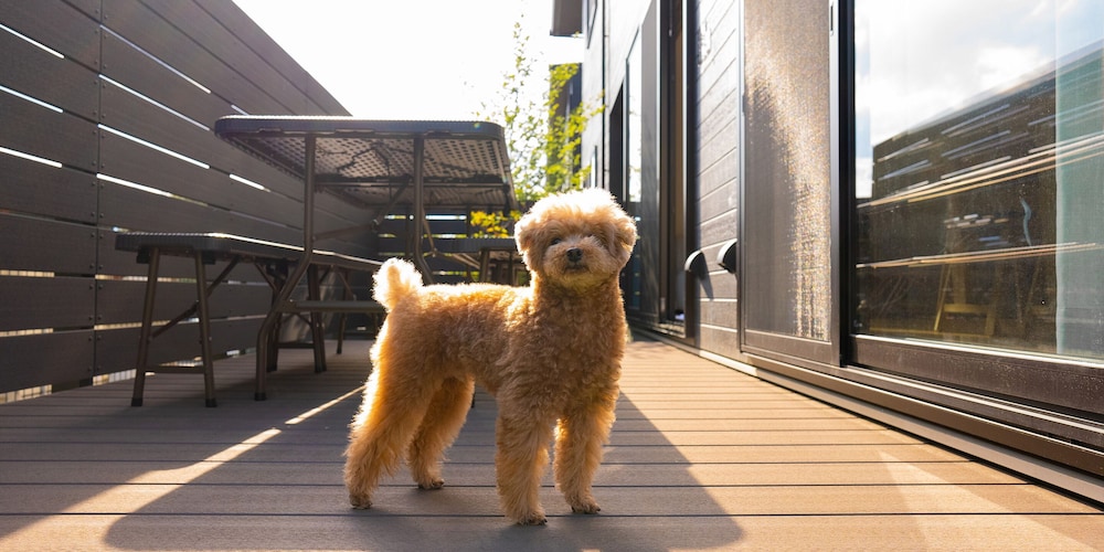 Rakuten STAY VILLA 八ヶ岳 [109_ペット同室可]シンプルモダン / 8名定員 禁煙 客室20 | Rakuten STAY VILLA 八ヶ岳