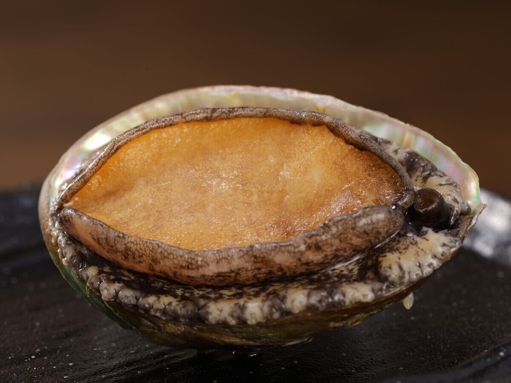 食事・飲み物1 | ホテル小野浦